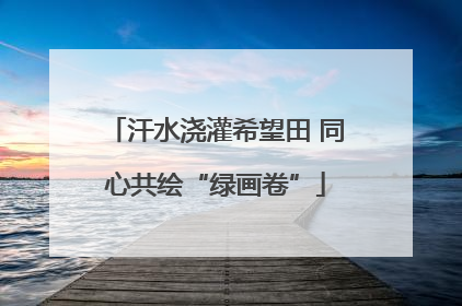 汗水浇灌希望田 同心共绘“绿画卷”